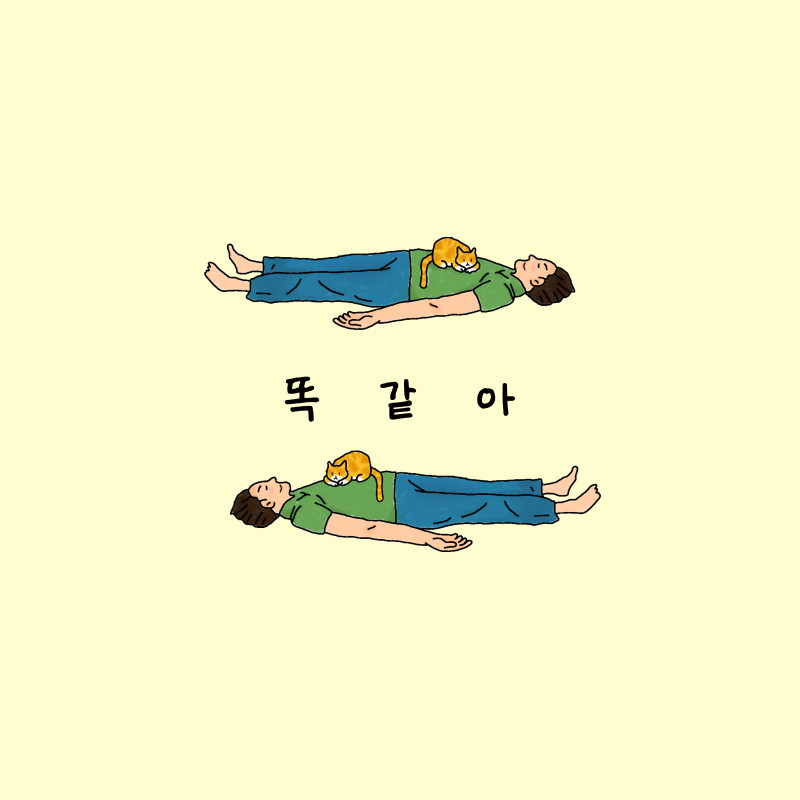 https://pearlhousemusic.kr/data/file/portfolio/thumb-ef90ab2b1e933dffa1a798ac4904a4ba_SlsPhnRQ_cfffc9a9a46a2a061651ec93a5555a50a1526b45_800x.jpg
